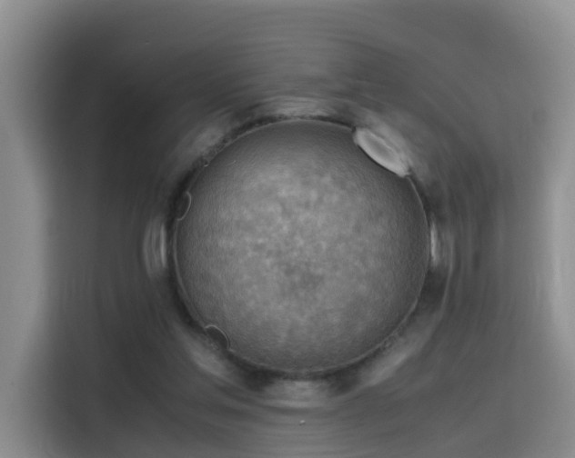 X0000115800205200911201405