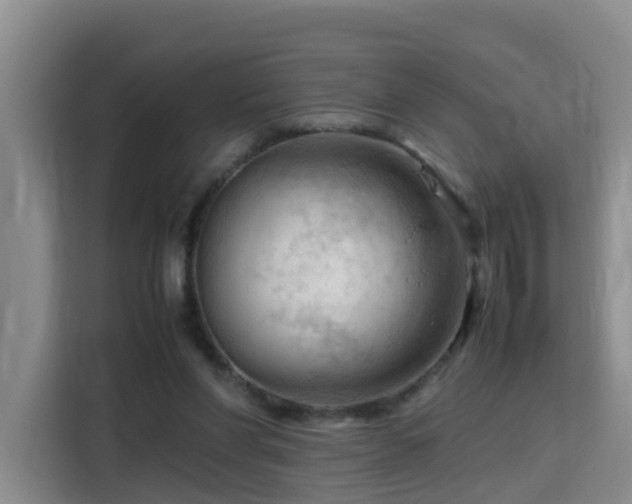 X0000115800206200911201405