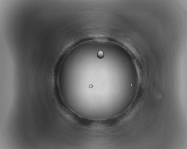 X0000115800207200911201405