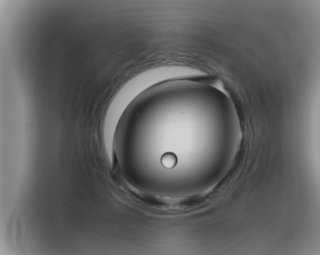 X0000115800225200911201404
