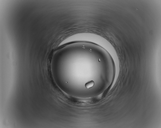 X0000115800229200911201404