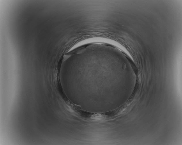 X0000115800231200911201404