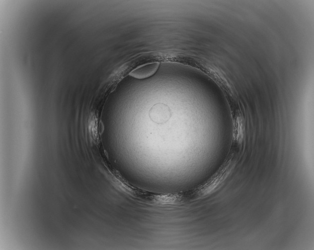 X0000115800238200911201404