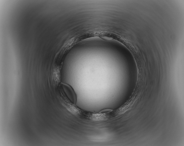 X0000115800240200911201404