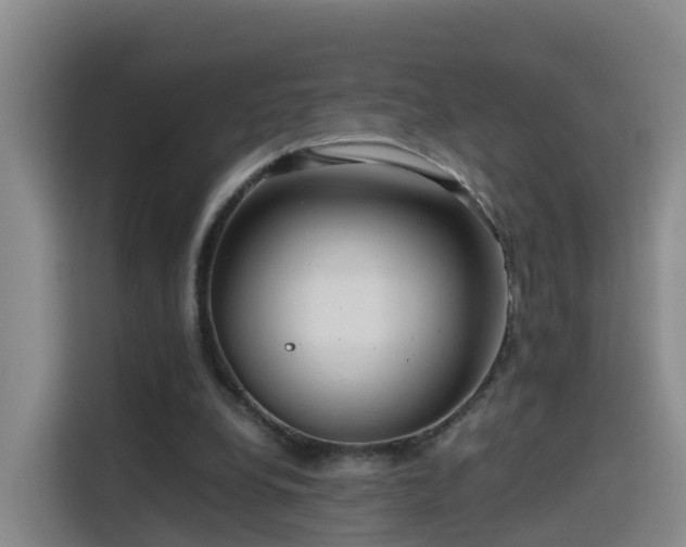 X0000115800248200911201404
