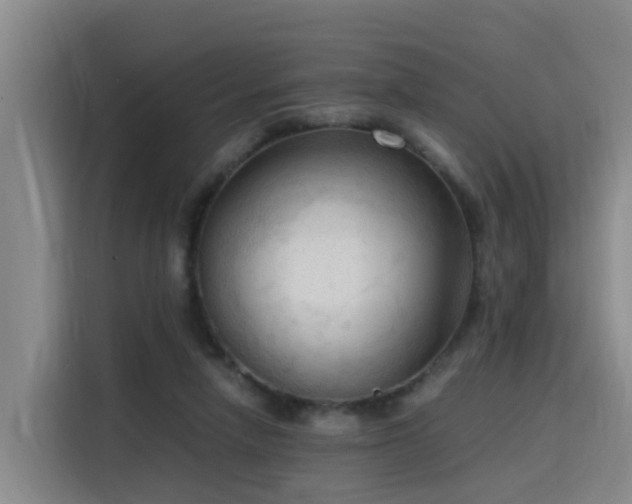 X0000115800258200911201404