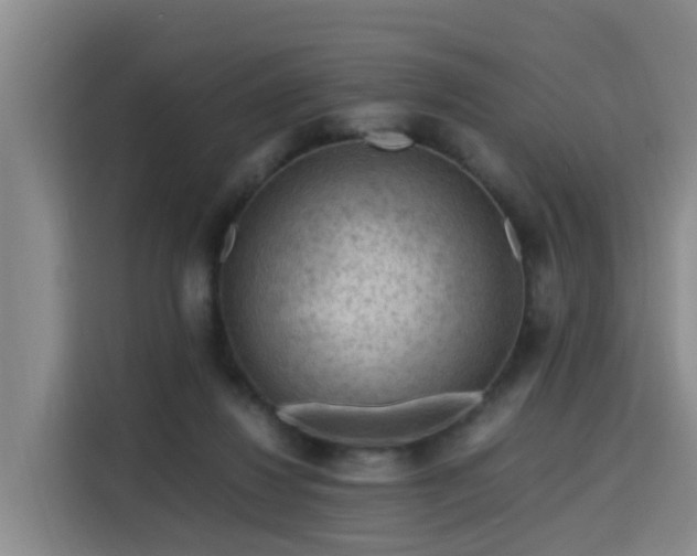 X0000115800260200911201404