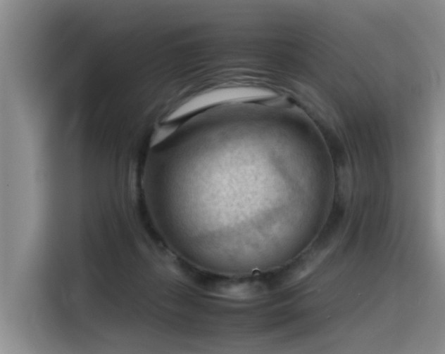 X0000115800267200911201404