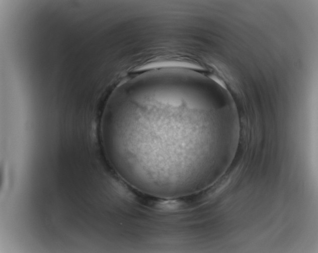 X0000115800269200911201404