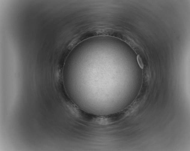 X0000115800276200911201404
