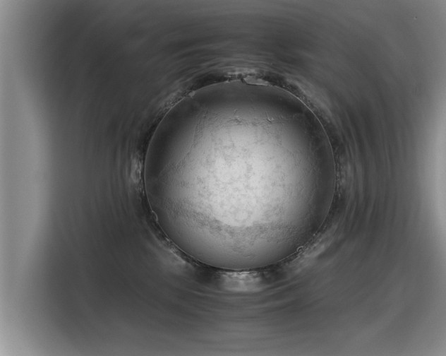 X0000115800281200911201404