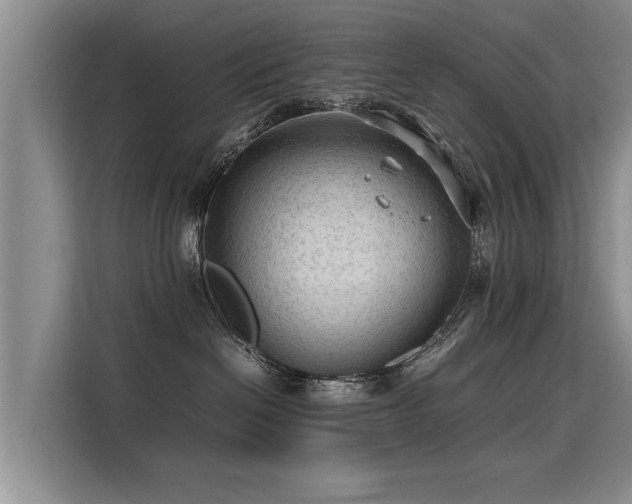 X0000115800286200911201404