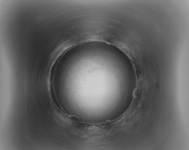 X0000115800290200911201403