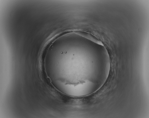 X0000115800295200911201403
