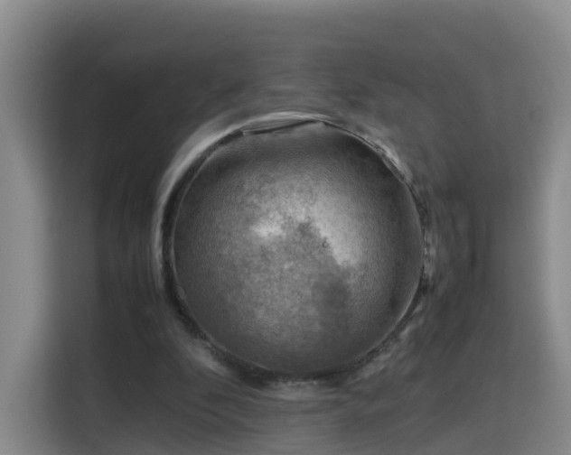 X0000115800296200911201403