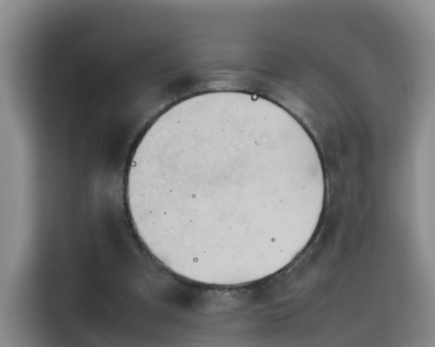 X0000115800297200911201403