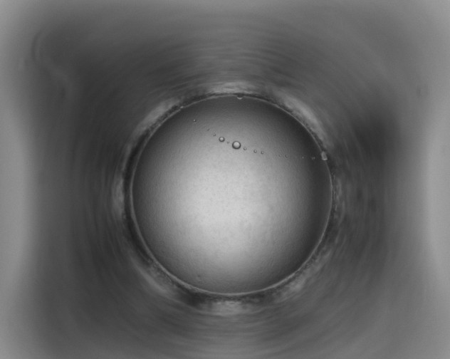 X0000115800298200911201403