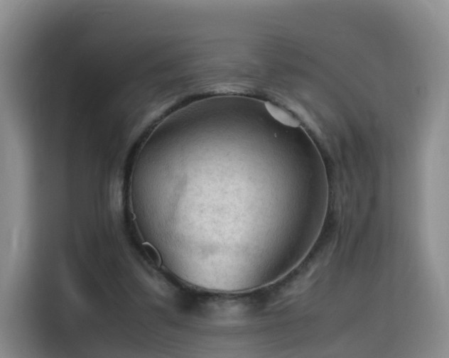 X0000115800299200911201403