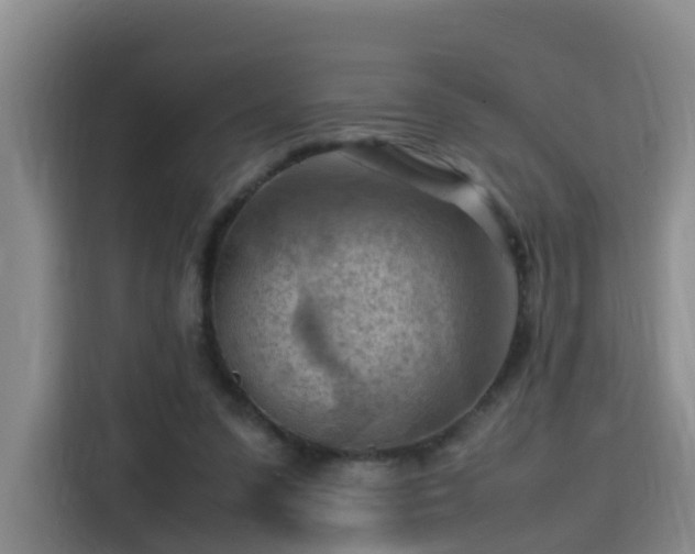 X0000115800303200911201403