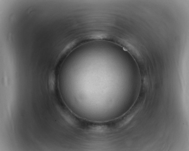 X0000115800304200911201403