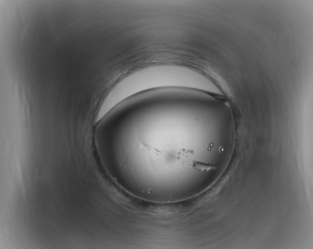 X0000115800305200911201403