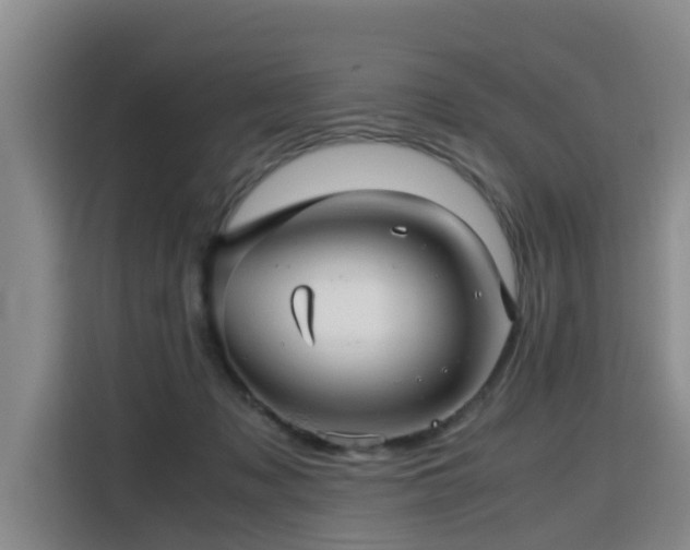 X0000115800317200911201403