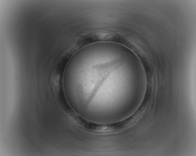 X0000115800319200911201403