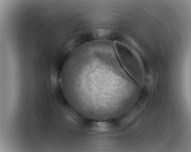 X0000115800324200911201403