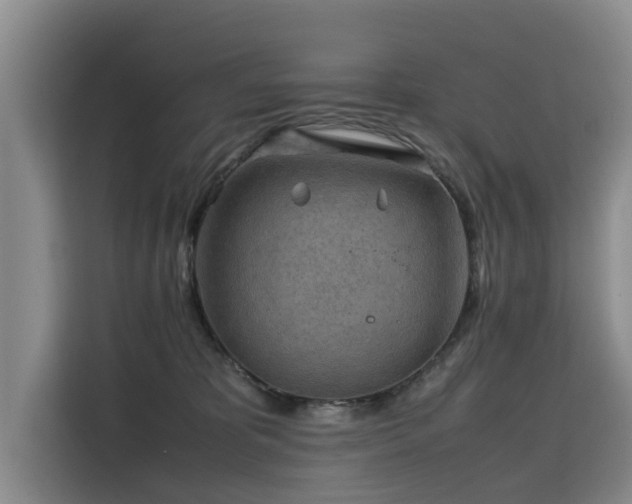 X0000115800325200911201403