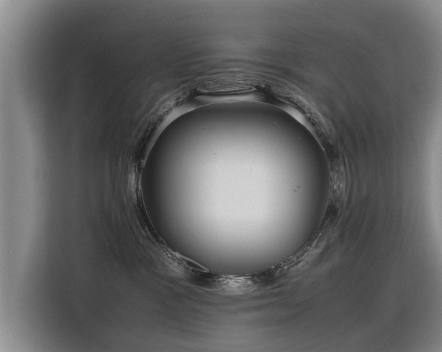 X0000115800333200911201403