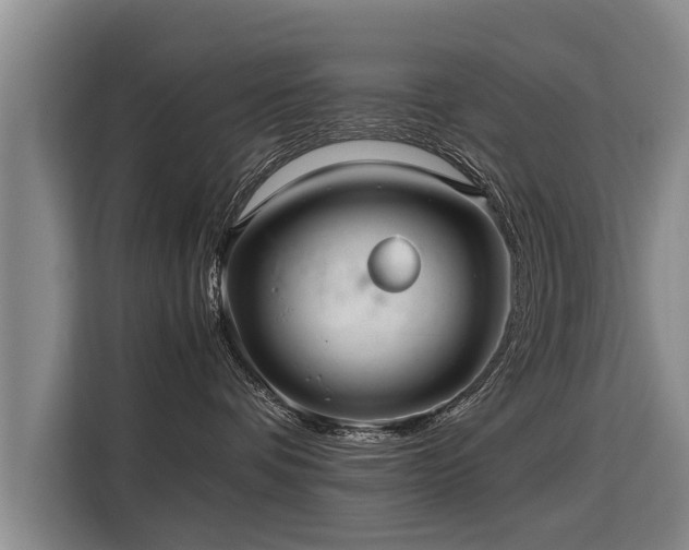 X0000115800336200911201403