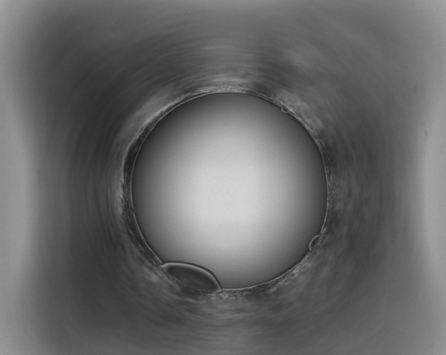 X0000115800338200911201402