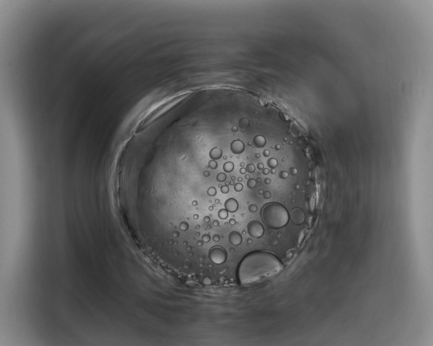 X0000115800339200911201402