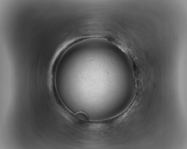 X0000115800342200911201402