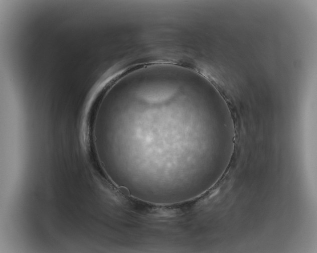 X0000115800343200911201402