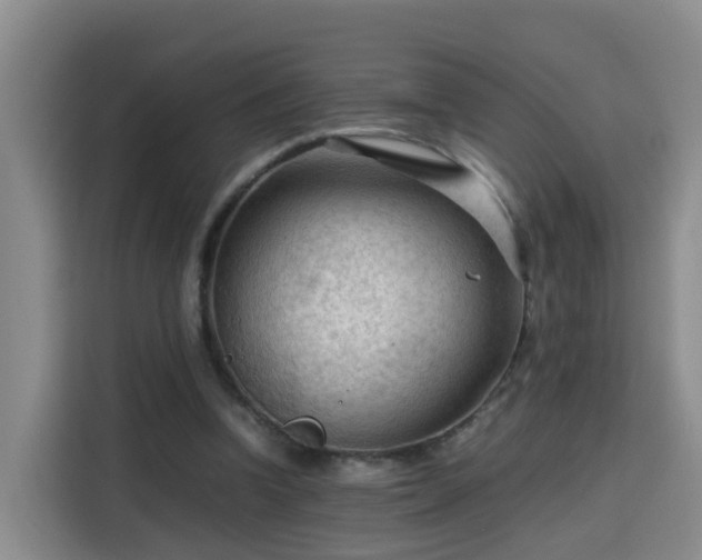 X0000115800346200911201402