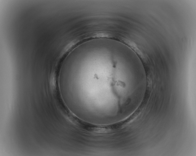 X0000115800347200911201402