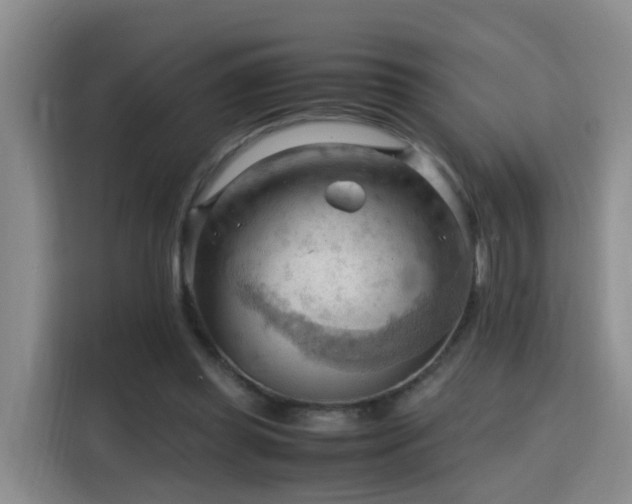X0000115800349200911201402