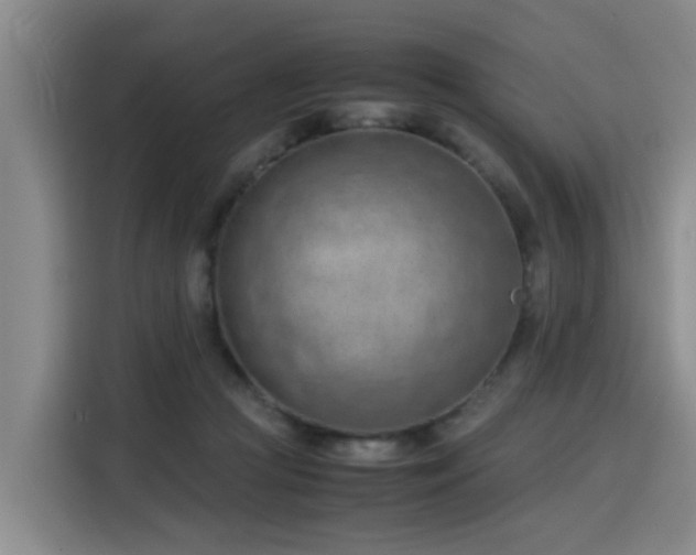 X0000115800361200911201402