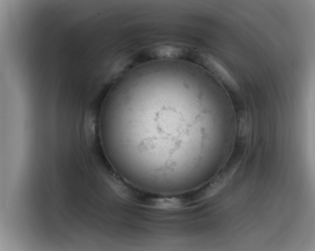 X0000115800363200911201403