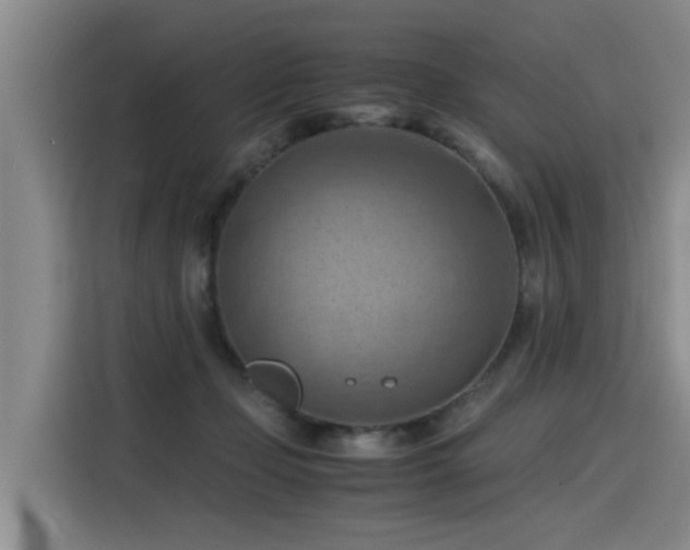 X0000115800365200911201403