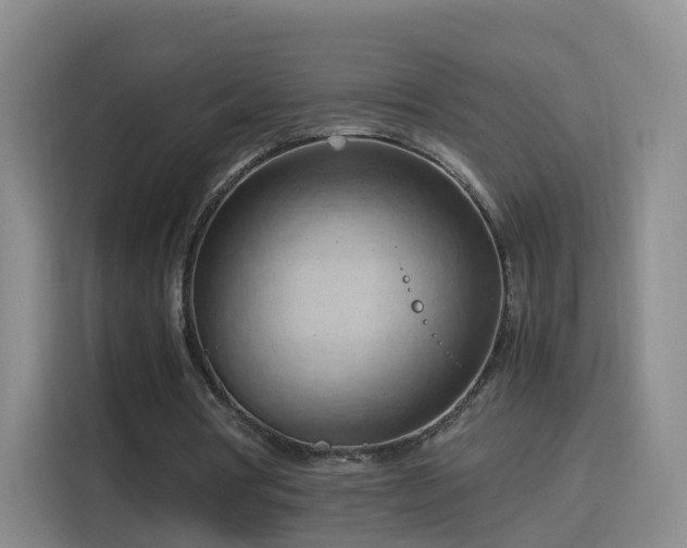 X0000115800386200911201402