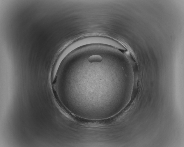 X0000115800389200911201402