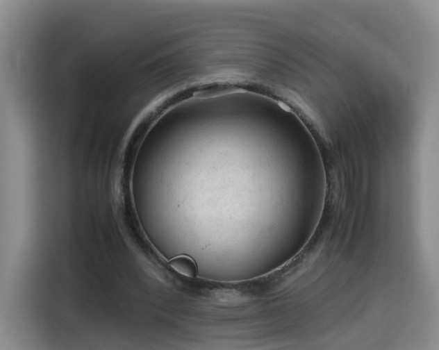 X0000115800392200911201402