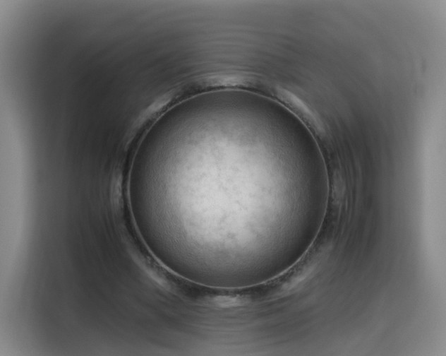X0000115800394200911201402