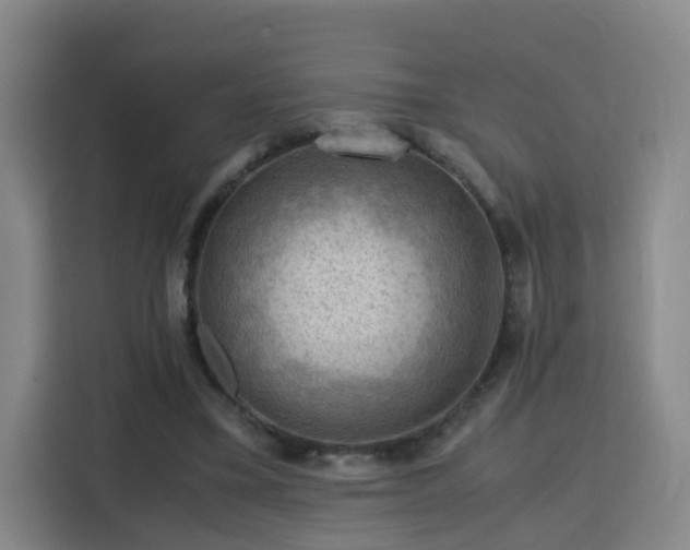 X0000115800395200911201402