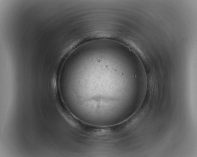 X0000115800398200911201402
