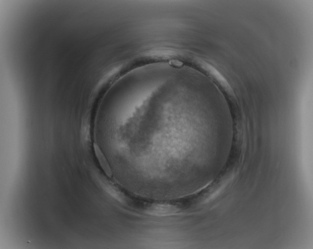 X0000115800399200911201402