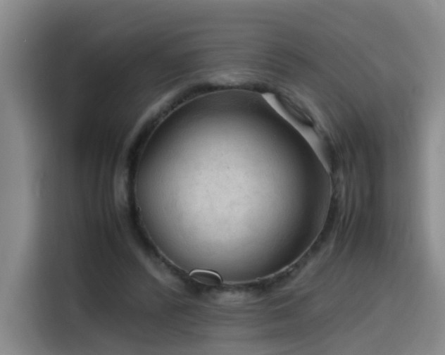 X0000115800400200911201402