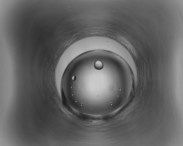 X0000115800401200911201402